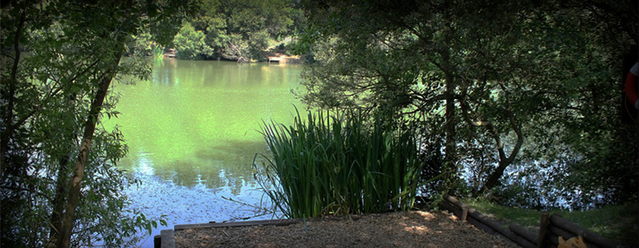 Carp Fishing Venues - banner 5